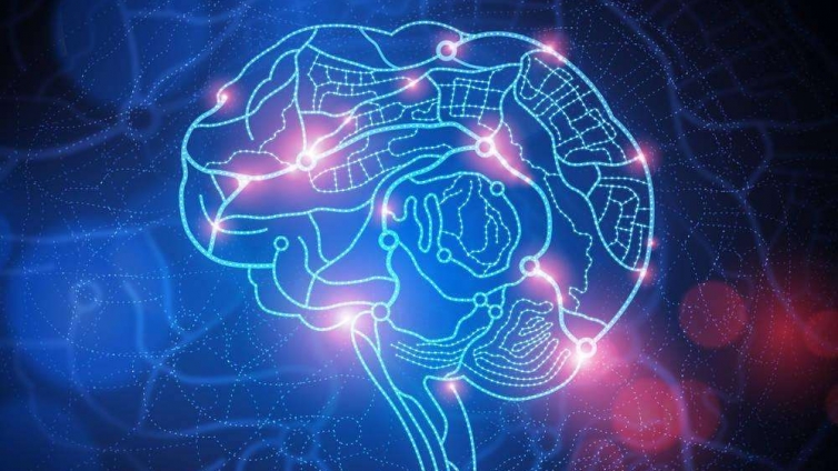 记忆信息与大脑神经元固有频率的关联性