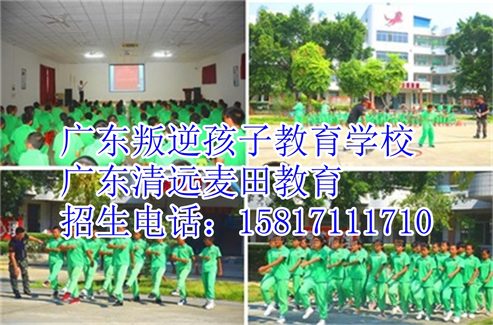 广东叛逆孩子学校，广东清远麦田教育招生电话15817111710