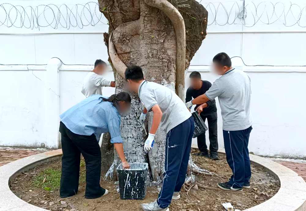 乐成教育招生电话14758970750