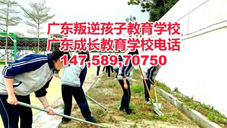 广州叛逆孩子教育学校,广州教育叛逆孩子的学校,推荐广东成长教育学校