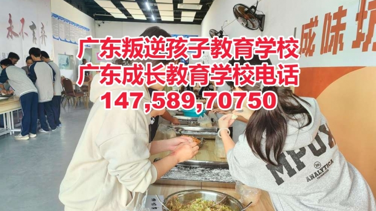 阳江叛逆青少年管教学校,阳江教育叛逆青少年孩子的学校