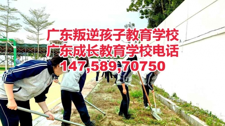 广州专门教育叛逆、沉迷手机、厌学逃学、早恋、不回家孩子的学校,广东成长教育学校简介