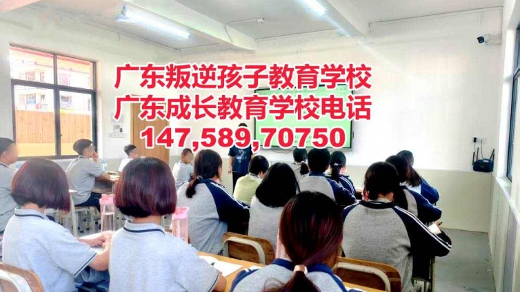 广东乐成叛逆网瘾逃学早恋孩子教育学校简介