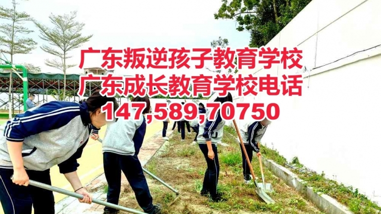 广州乐成叛逆青少年管教学校简介