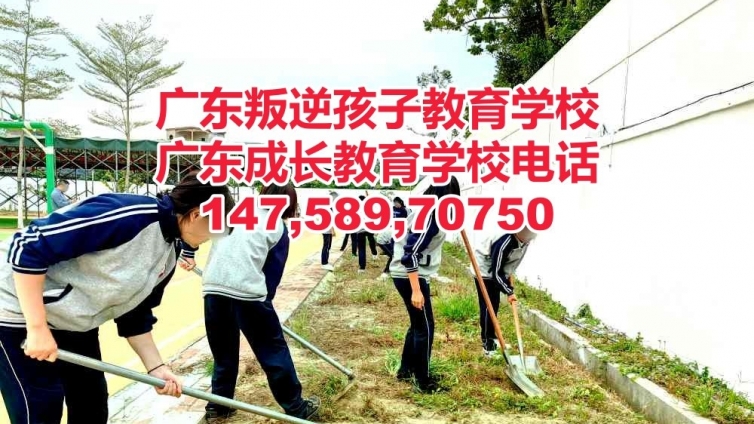 广州增城区叛逆孩子教育学校,广东成长教育学校