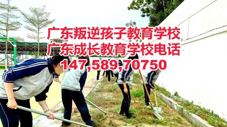 广州叛逆孩子教育学校哪家正规口碑好推荐