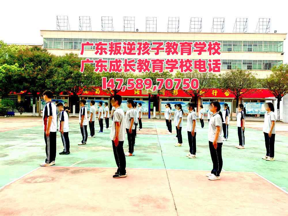 广州逸心教育招生电话14758970750