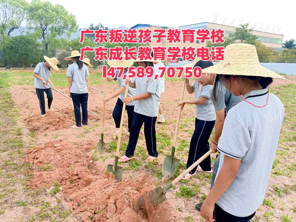 广州逸心教育招生电话14758970750