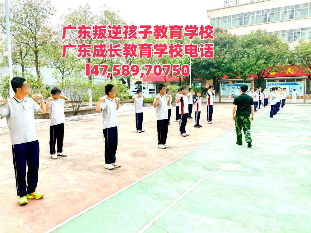 广州逸心教育招生电话14758970750