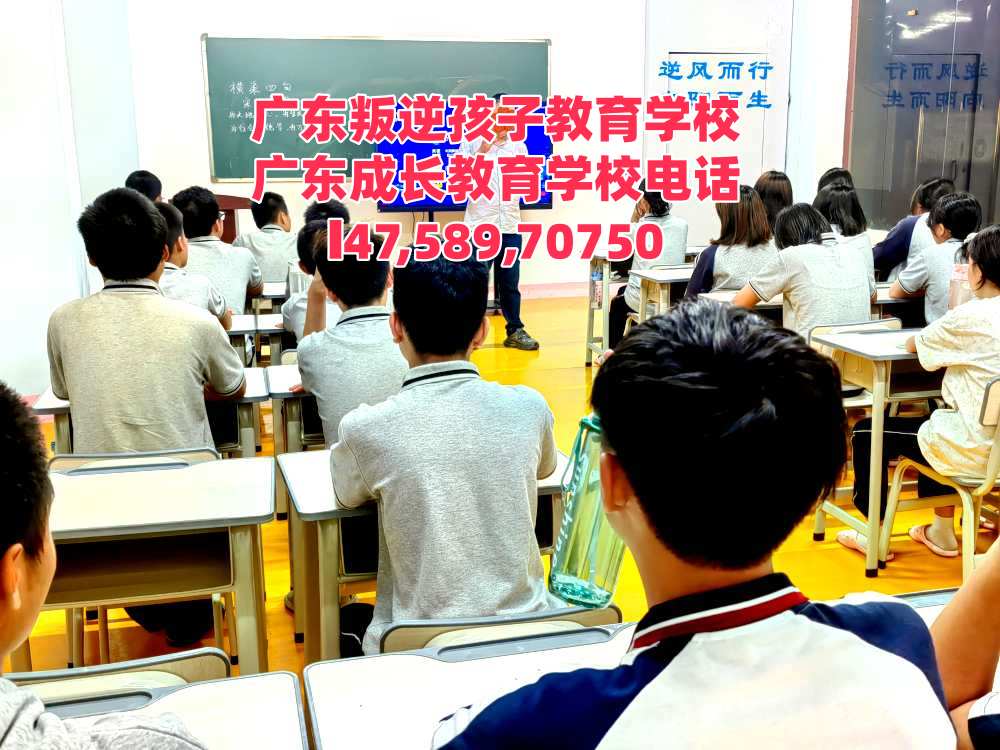 广州逸心教育招生电话14758970750
