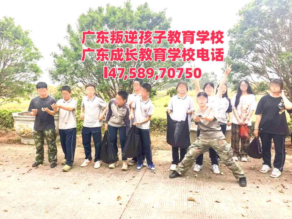 广州逸心教育招生电话14758970750