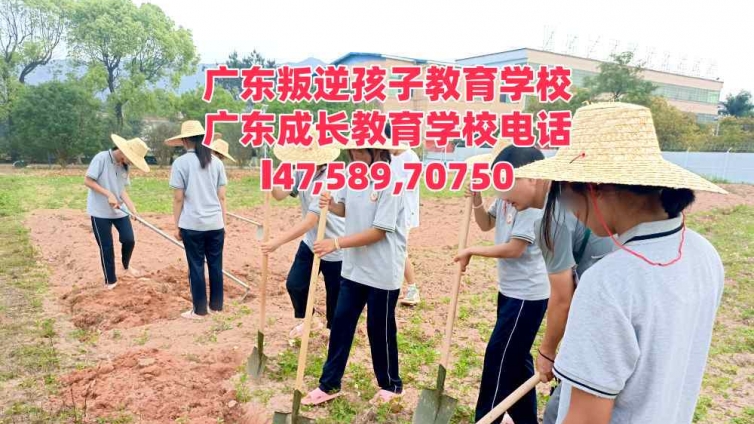 广州市白云区叛逆小孩教育学校逸心教育校区招生电话