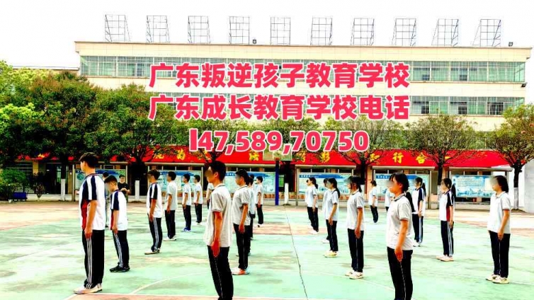 广东叛逆孩子教育学校，逸心教育简介