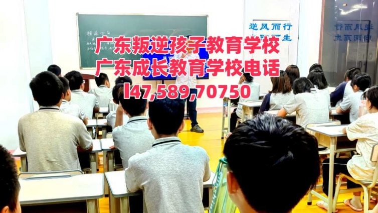广东教育叛逆青少年的学校，逸心教育简介