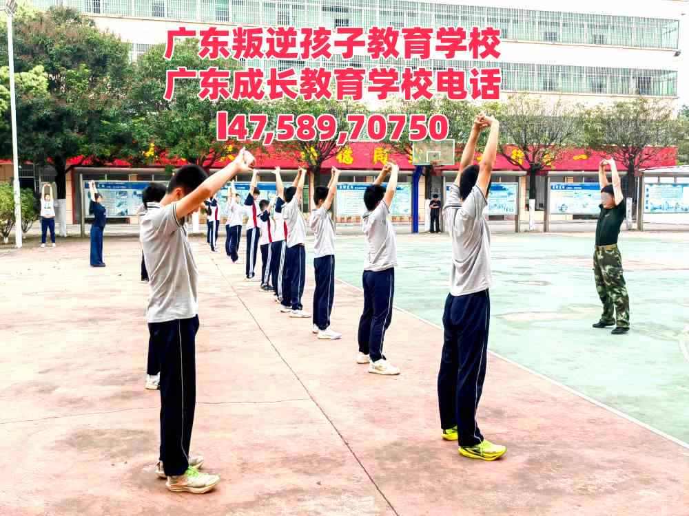 广州叛逆孩子教育学校逸心教育简介