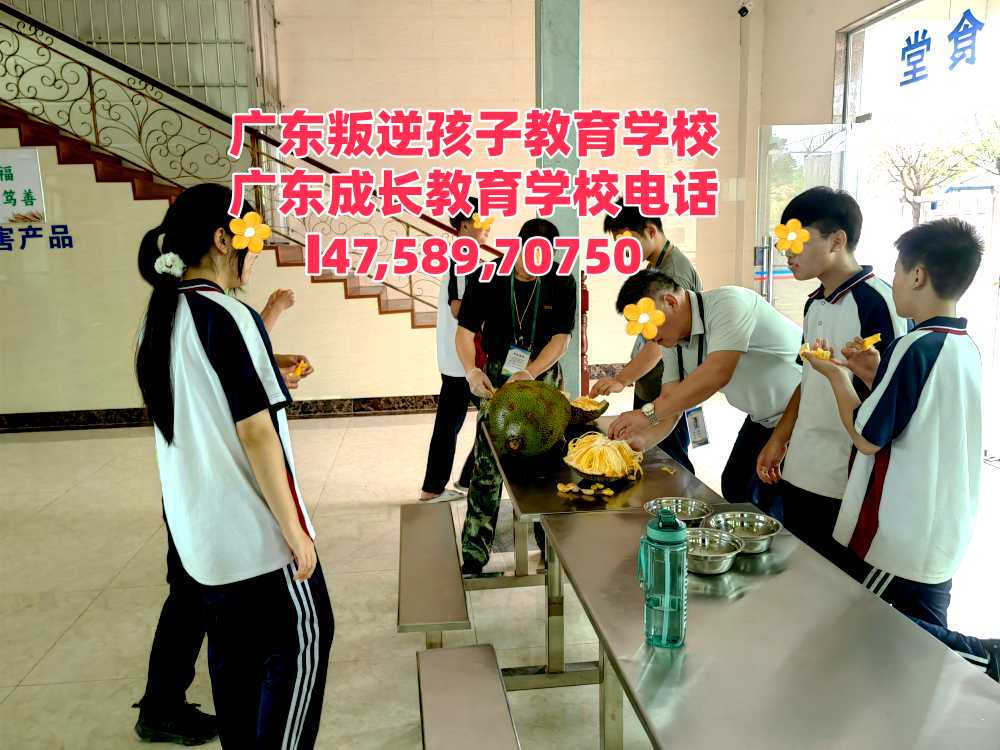 广州逸心教育招生电话14758970750