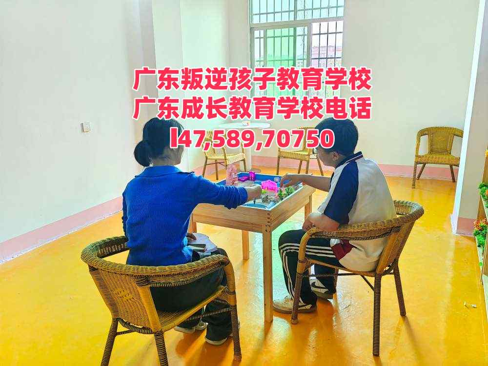 广东逸心叛逆孩子教育学校招生电话14758970750