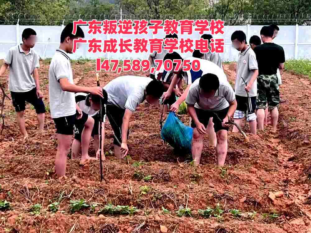 广东逸心叛逆孩子教育学校招生电话14758970750