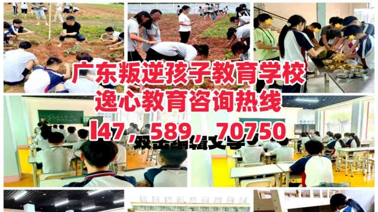 广东网瘾沉迷网络游戏孩子教育学校，逸心教育