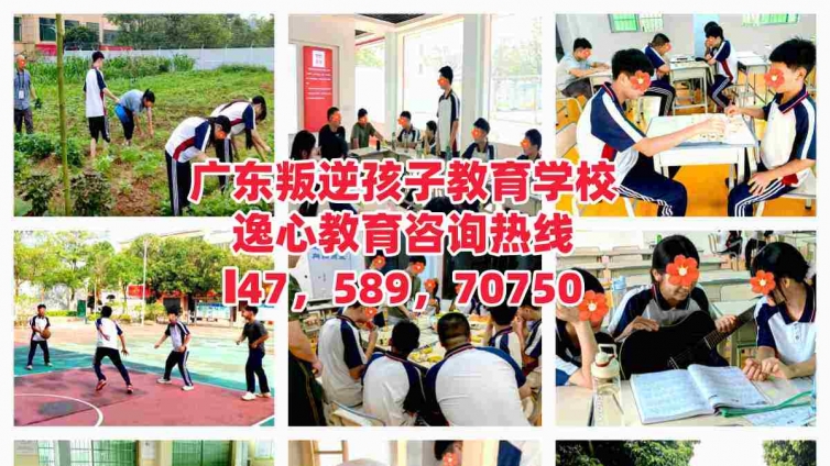 广东教育叛逆孩子的学校，逸心教育：用爱与专业守护叛逆青少年孩子健康成长！