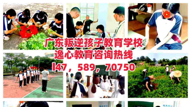 广东教育叛逆青少年的学校，逸心教育：用爱与专业守护叛逆青少年孩子健康成长！