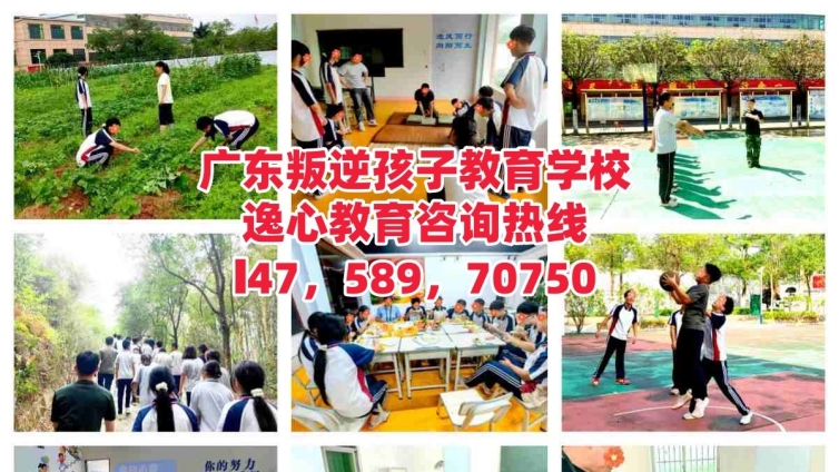 惠州叛逆孩子教育学校，逸心教育：用爱与专业守护叛逆青少年孩子健康成长！