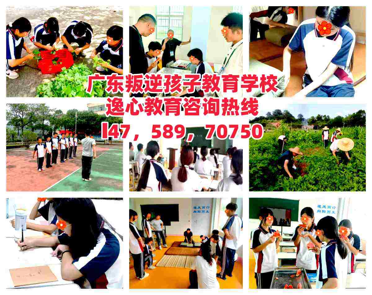 逸心教育招生电话14758970750