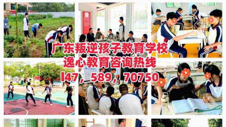 逸心教育，佛山逸心叛逆青少年孩子教育学校，佛山教育叛逆网瘾逃学早恋孩子的学校