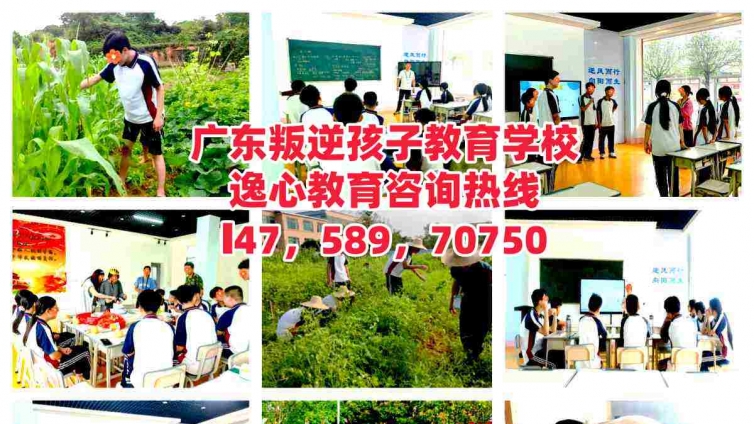 河源逸心叛逆孩子教育学校，河源逸心叛逆青少年教育学校，专注叛逆青少年孩子心理辅导、习惯养成教育