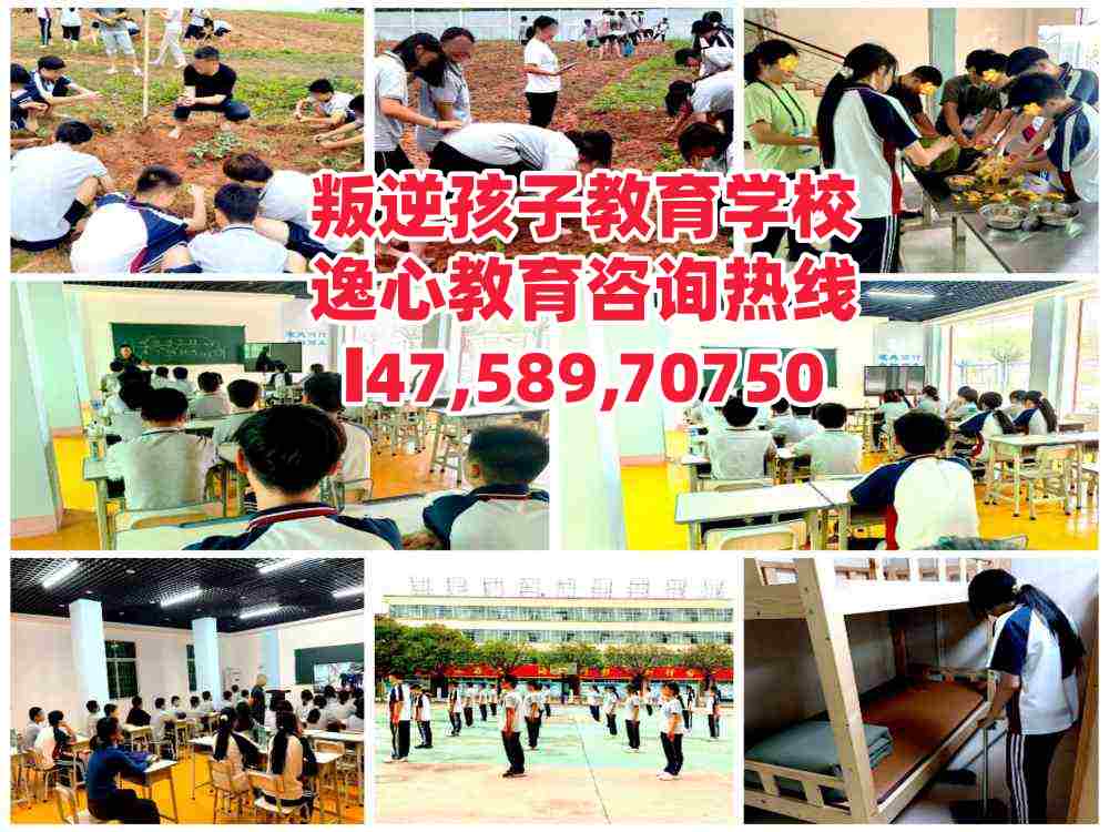 逸心教育电话14758970750