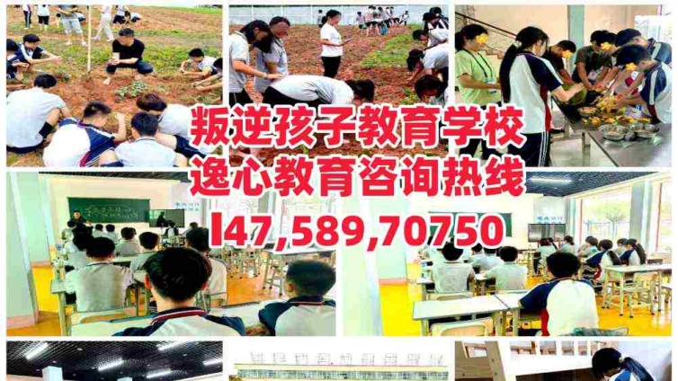 惠州逸心教育叛逆难管难教小孩学校