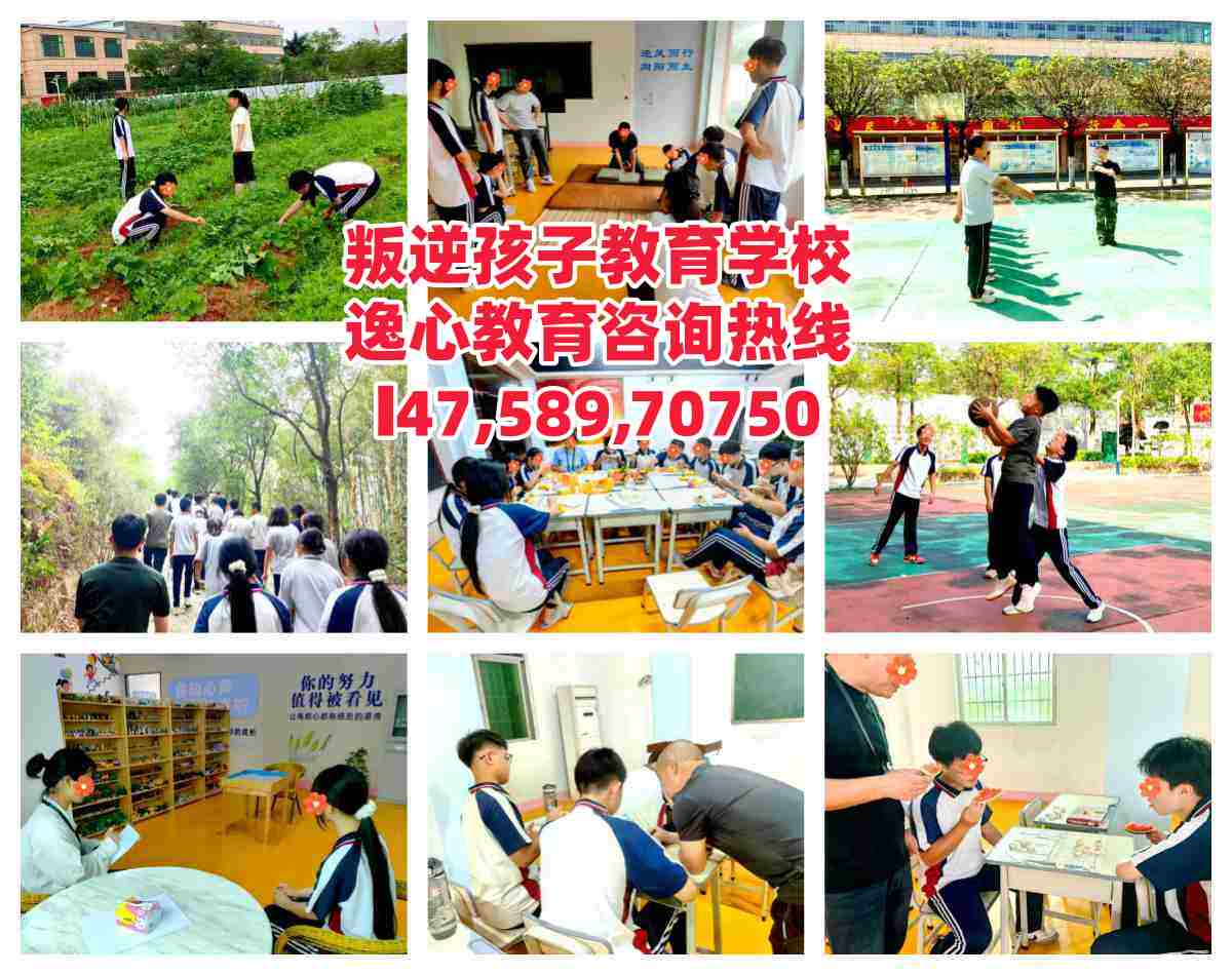 惠州逸心叛逆孩子教育学校电话14758970750