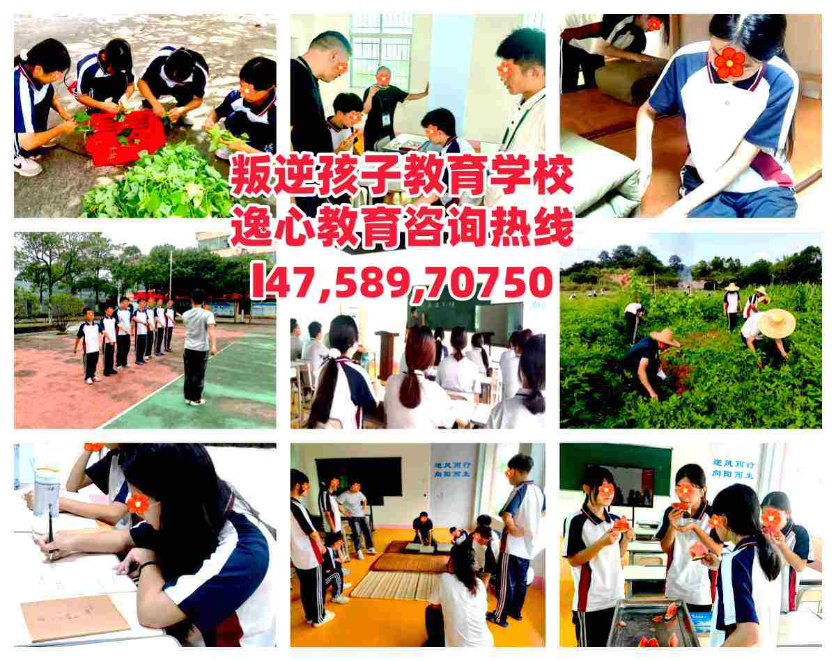 惠州逸心叛逆孩子教育学校电话14758970750