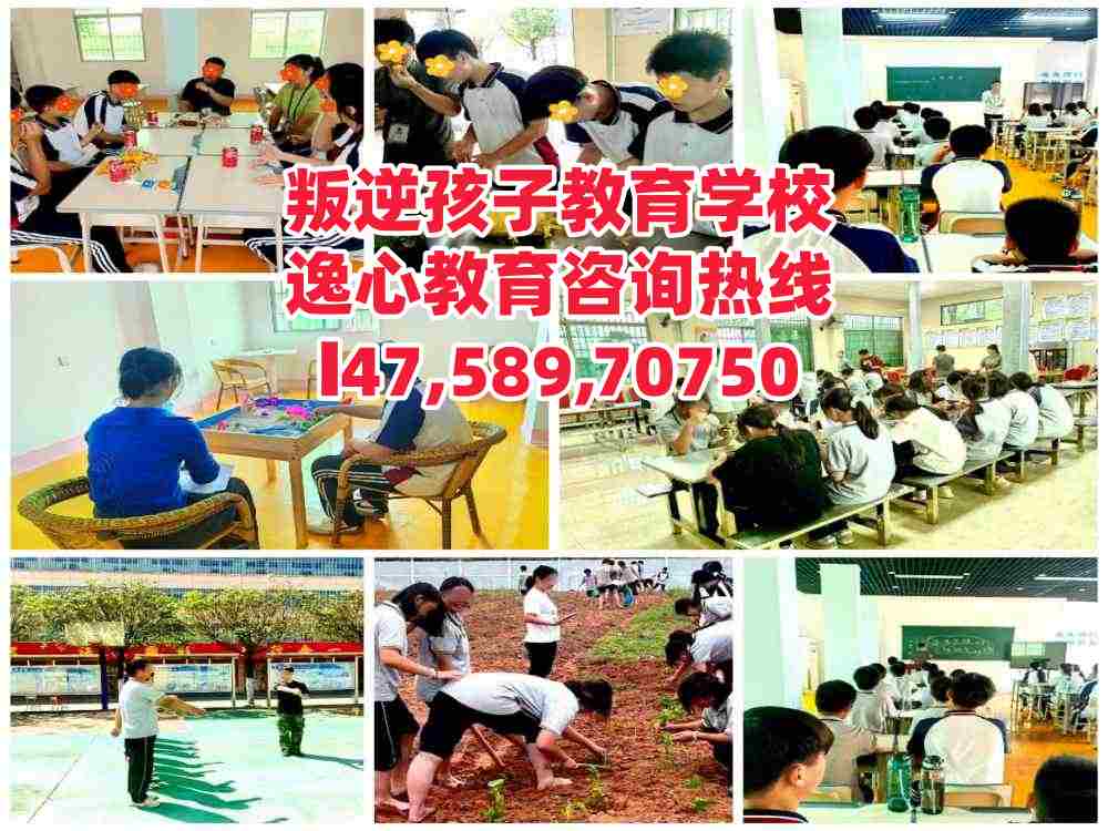 惠州逸心叛逆孩子教育学校电话14758970750