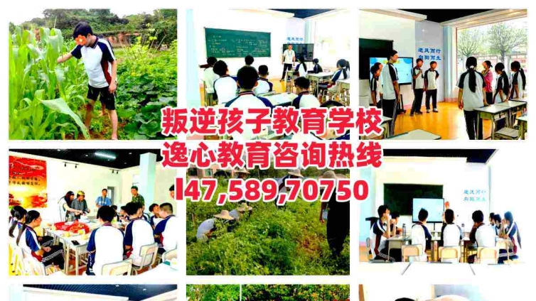 东莞教育叛逆小孩的学校，逸心教育：逸心学子乐享文体运动，赋能健康成长！