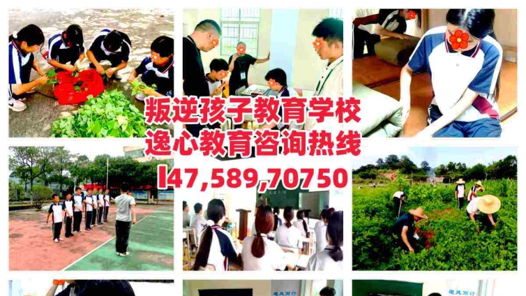 佛山逸心教育叛逆孩子学校：小组心理成长课堂，我的“情绪瓶”，做情绪小主人！