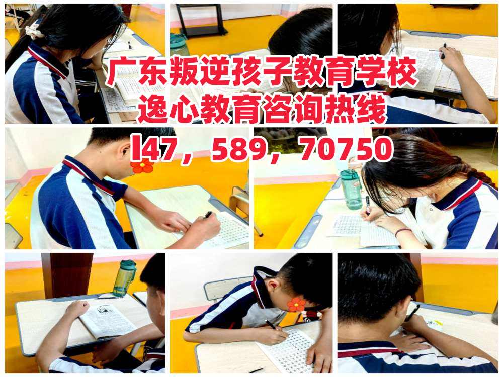 广东叛逆孩子教育学校，逸心教育招生电话14758970750